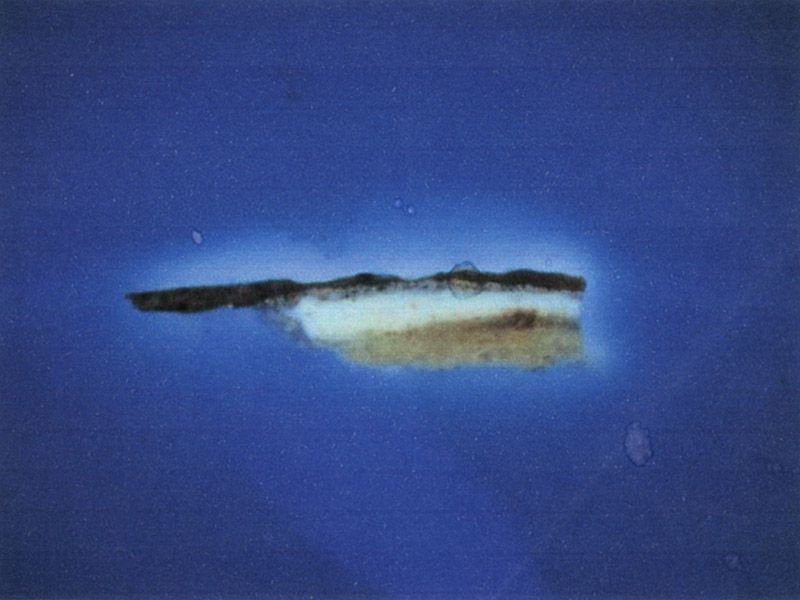 paintng pigment analysis