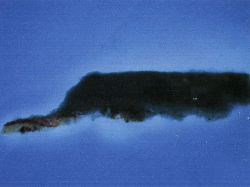 fine art pigment analysis